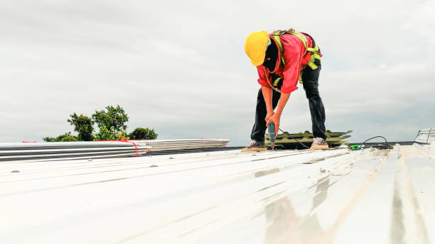 Best Flat Roofing  in Naples Park, FL