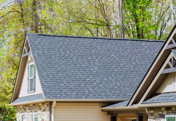 Best Chimney Flashing Repair  in Naples Park, FL