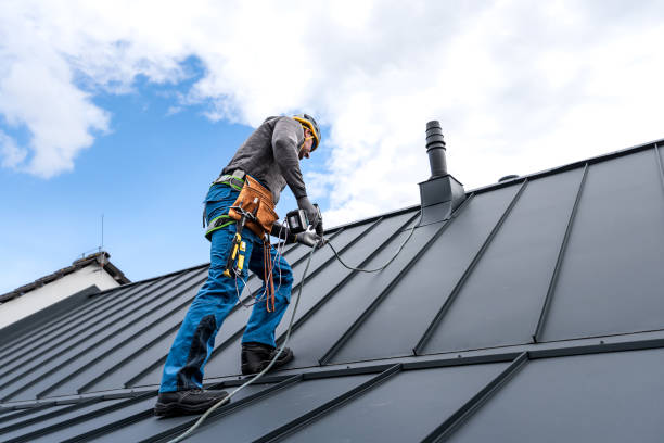 Best Steel Roofing  in Naples Park, FL